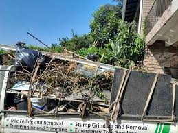 Best Recycling Services for Junk  in Louisville, CO